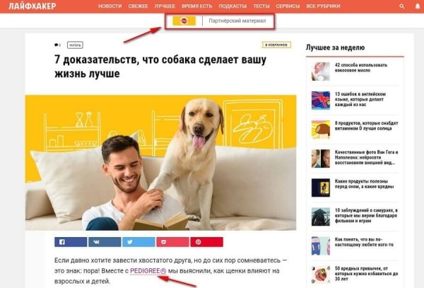Как работает нативная реклама: виды и примеры