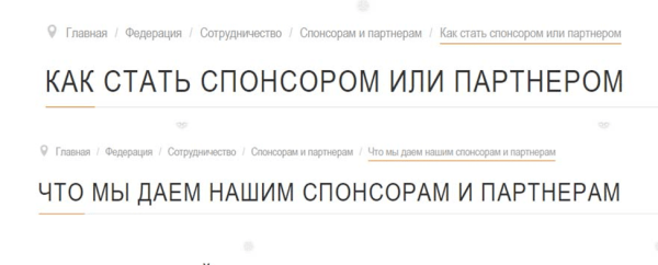 Не запариваются над выгодой от контрактов, делают откровенные фото и дарят солидные премии лучшим. Кто и как спонсирует беларусские федерации? Исследование Академии BSSF