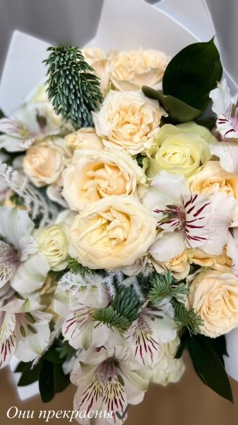 Призеры ОИ сходили к Лукашенко за наградами: гимнастка снова пожала руку, чемпион гордо сравнялся с Ермошиной, Мирончик-Иванова (как без нее) поймала пропагандиста