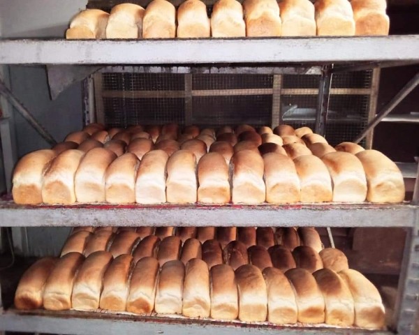 Знаете, почему тот парень в масле из Полинезии не на Олимпиаде? Спасает родину от последствий цунами – мгновенно собрал более $500 тысяч