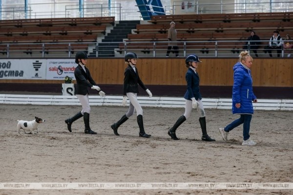ФОТОФАКТ: Республиканские соревнования по выездке проходят в Ратомке
