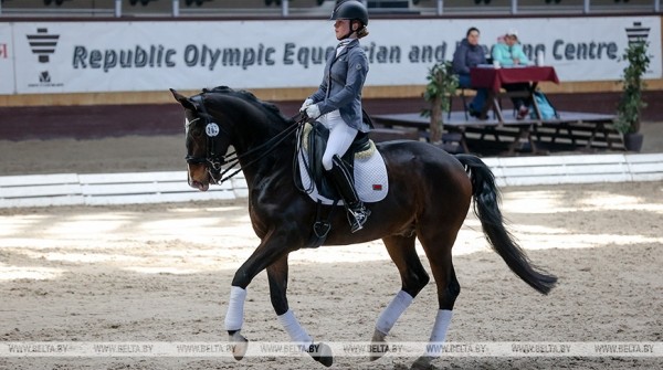 ФОТОФАКТ: Республиканские соревнования по выездке проходят в Ратомке