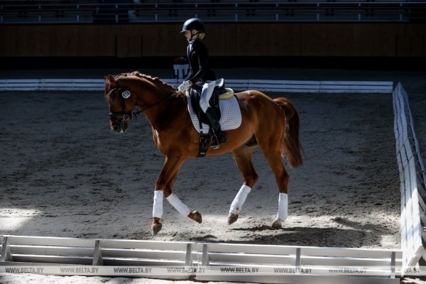 ФОТОФАКТ: Республиканские соревнования по выездке проходят в Ратомке