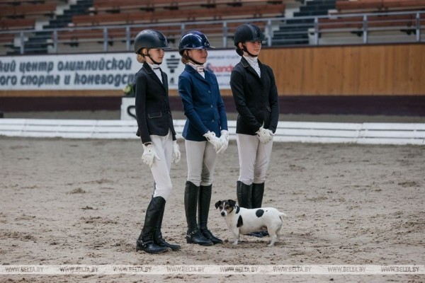 ФОТОФАКТ: Республиканские соревнования по выездке проходят в Ратомке