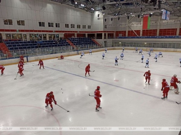 "Минские зубры" стали чемпионами хоккейной Высшей лиги