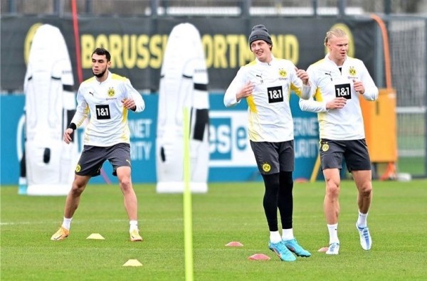 Брессан, Алыкулов, Фамейе и еще 8 молодых талантов, которых клубы Беларуси выудили за рубежом Брессан, Алыкулов, Фамейе и еще 8 молодых талантов, которых клубы Беларуси выудили за рубежом