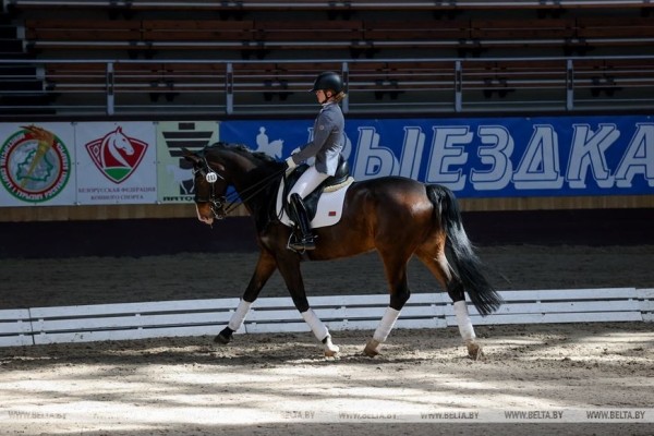 ФОТОФАКТ: Республиканские соревнования по выездке проходят в Ратомке
