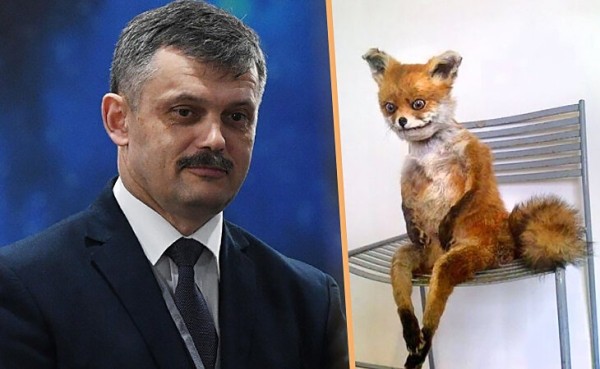 Кавальчук – проста няшка, або чыё фота павінна стаяць у тлумачальным слоўніку побач са словам «ёлуп» Кавальчук – проста няшка, або чыё фота павінна стаяць у тлумачальным слоўніку побач са словам «ёлуп»