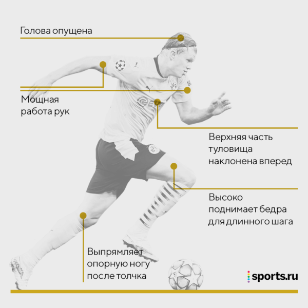Холанд в «Мольде» из хрупкого подростка превратился в машину: ел как лошадь и прибавил 12 кг мышечной массы Холанд в «Мольде» из хрупкого подростка превратился в машину: ел как лошадь и прибавил 12 кг мышечной массы