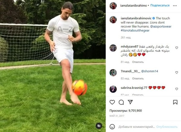 Златан – лев, но колени его измучили. Не спал из-за боли, жидкость откачивали каждую неделю