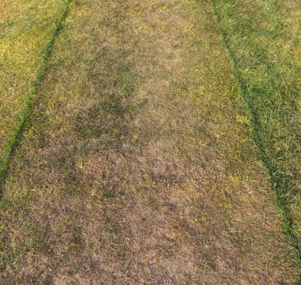 Стадыён у Баранавічах, які з помпай адкрывалі чынушы, &ndash; гэта эпас: зараз ён зноў закрыты, бо трэба мяняць газон, які паклалі ўвосень-2021 (рабілі рускія, што і на &laquo;Дынама&raquo; у Мінску)