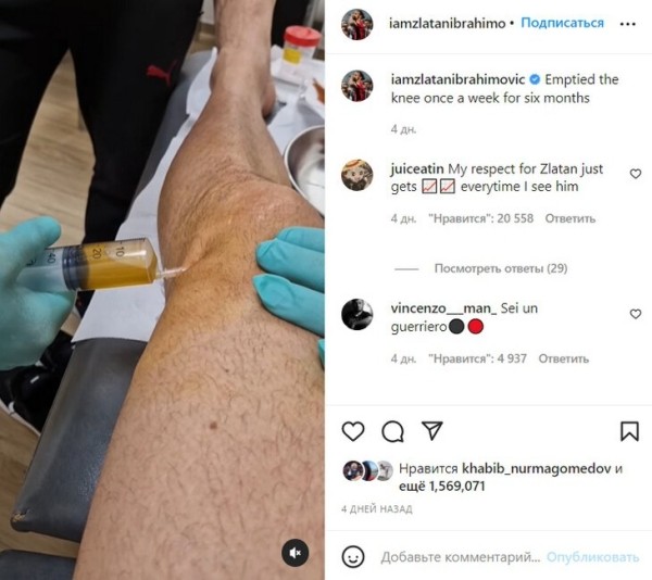 Златан – лев, но колени его измучили. Не спал из-за боли, жидкость откачивали каждую неделю