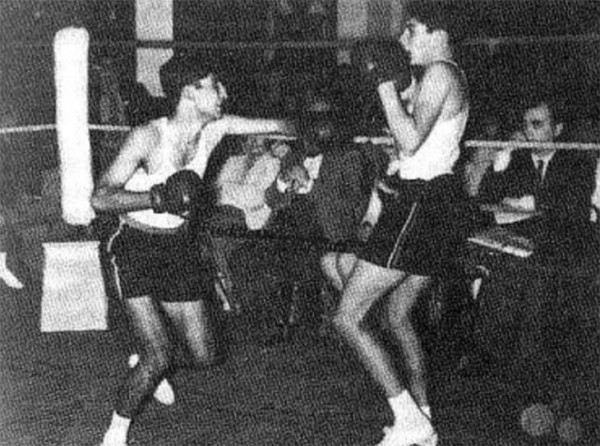 Фредди Меркьюри обожал бокс: занимался в школе, заканчивал бои в крови из-за выпирающих зубов, а на концертах Queen выступал в боксерках 