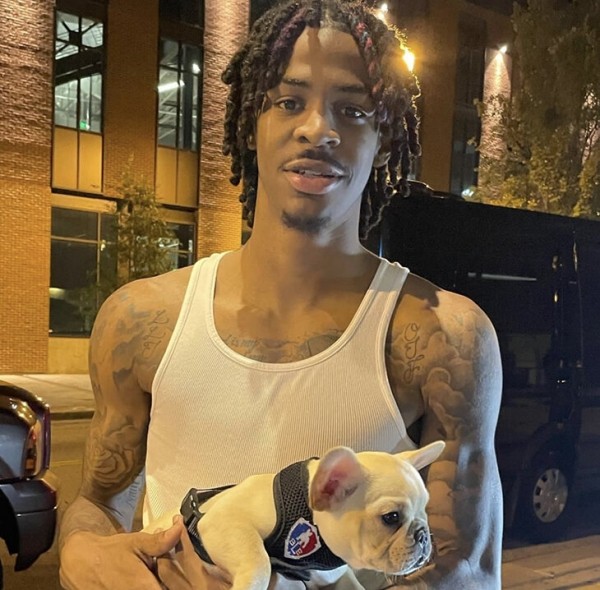 🐶Экс-чемпион НБА поднимает миллионы на французских бульдогах. Он утверждает, что цена на щенка доходит до 500 тысяч долларов