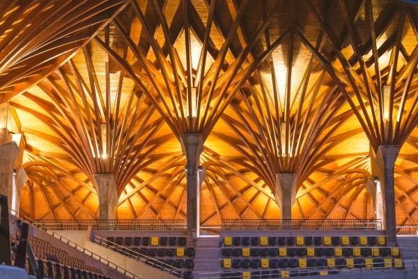 Не толькі ў вёсцы Лукашэнкі будуюць спартовыя арэны – у Венгрыі руліць яго таварыш з вельмі падобнымі замашкамі (Пуцін, ціск на медыя, узбагачэнне набліжаных)