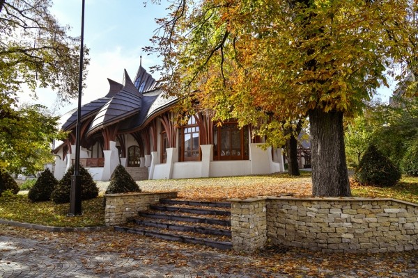 Не толькі ў вёсцы Лукашэнкі будуюць спартовыя арэны – у Венгрыі руліць яго таварыш з вельмі падобнымі замашкамі (Пуцін, ціск на медыя, узбагачэнне набліжаных)