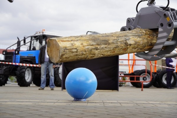 В Беларуси изобрели «лесной хоккей»: вместо шайбы – мячи трех размеров, вместо клюшек – бревна. Показываем, как это выглядит