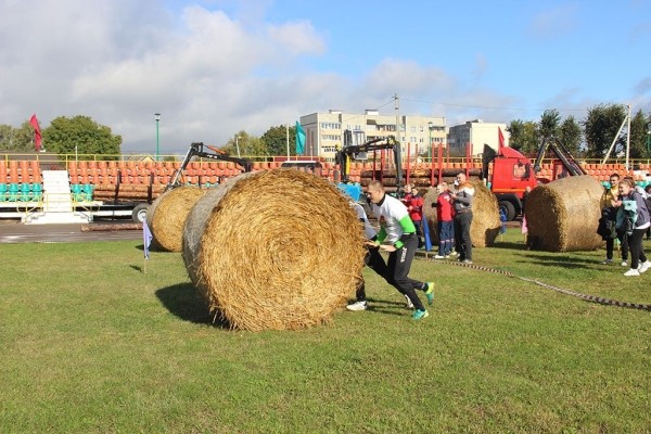 Недосекову приготовиться! В Гродненской области устроили свою Олимпиаду: бегали с лопатой, прыгали с капустой между ног и кидали картошкой в ведра Недосекову приготовиться! В Гродненской области устроили свою Олимпиаду: бегали с лопатой, прыгали с капустой между ног и кидали картошкой в ведра