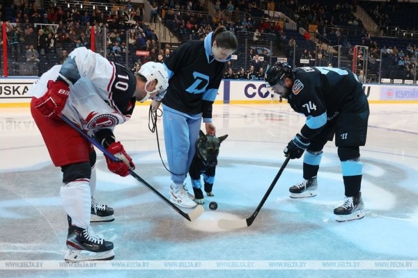 Хоккеисты минского "Динамо" проиграли Витязю в КХЛ