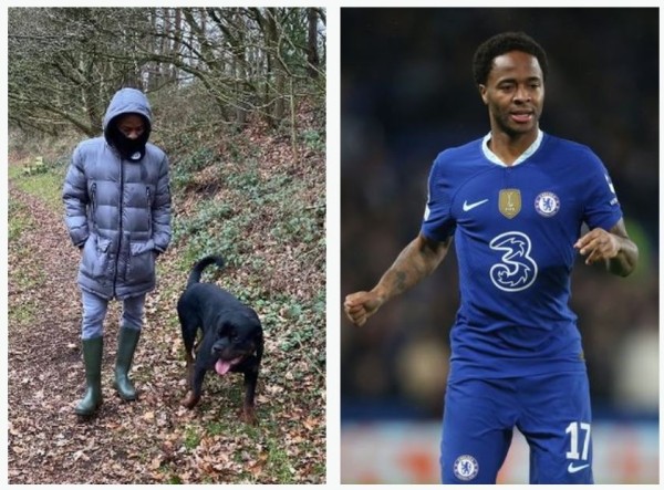 Футбол. ЧМ-2022. Игроки сборной Англии тратят огромные деньги на сторожевых собак для охраны домов во время мундиаля
Футбол. ЧМ-2022. Игроки сборной Англии тратят огромные деньги на сторожевых собак для охраны домов во время мундиаля