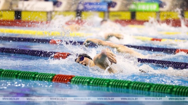 В Бресте завершился чемпионат страны по плаванию на короткой воде