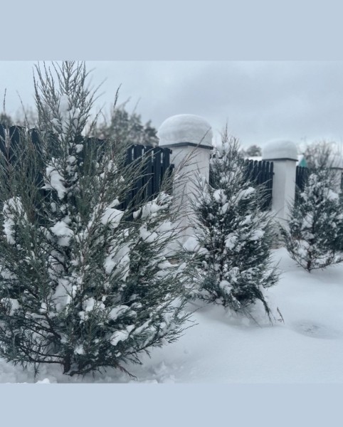 Биатлон.  Динара Алимбекова: это будет лучшая зима. Семья, дом, кот и много снега
 