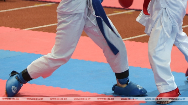 Благотворительный турнир по спортивно-боевым единоборствам пройдет в Минске