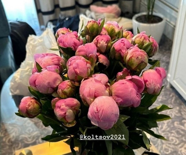 Теннис. Перед полуфиналом "Ролан Гаррос" Арина Соболенко посетила в Париже ресторан "Фаворитка" на улице Риволи
Теннис. Перед полуфиналом "Ролан Гаррос" Арина Соболенко посетила в Париже ресторан "Фаворитка" на улице Риволи