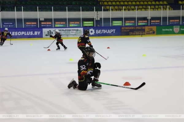 Лед и татами. Хоккейная арена в Гомеле встретит дзюдоистов II Игр стран СНГ