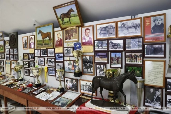 ФОТОФАКТ: Открытый чемпионат Беларуси по конкуру в Ратомке